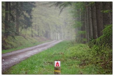 mtb-ardennen